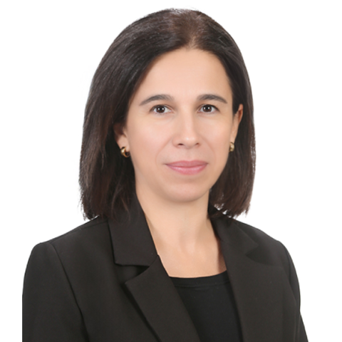 Pınar Ergüney Otar